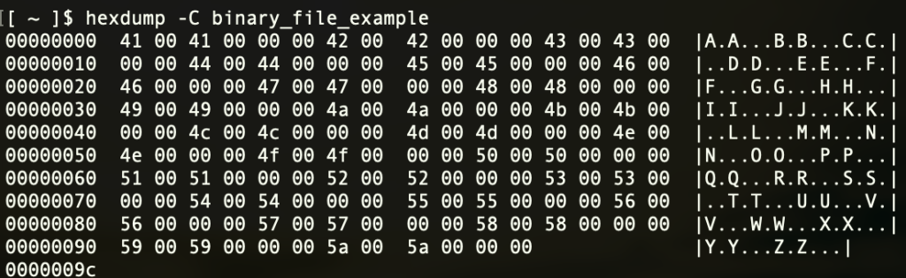 What is a Binary File