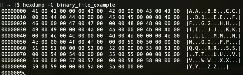 What is a Binary File