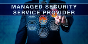 Managed Security Service Provider (MSSP)